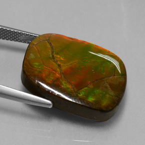 Ammolita multicolorido natural 20,27ct, forma extravagante, opaco