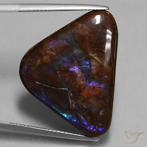 23.63ct Natural Multicolorido amolita, Trilhão, Opaco