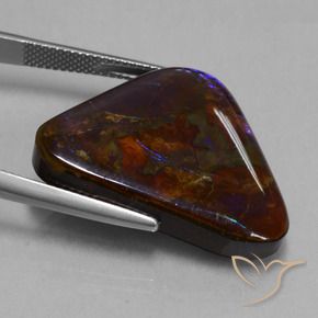 amolita Multicolorido Natural 23.63ct, Trilhão, Opaco