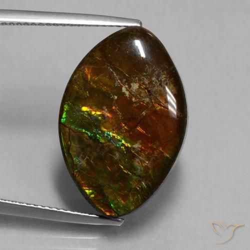 13.51ct Natural Multicolorido amolita, Marquesa, Opaco