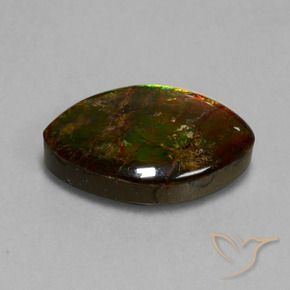 amolita Multicolorido Natural 13.51ct, Marquesa, Opaco