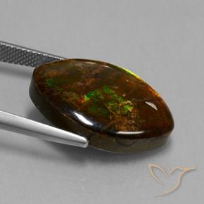 amolita Multicolorido Natural 13.51ct, Marquesa, Opaco
