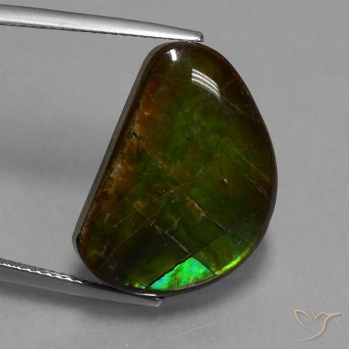 15.89ct Natural Multicolorido amolita, Chique, Opaco