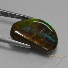 amolita Multicolorido Natural 15.89ct, Chique, Opaco