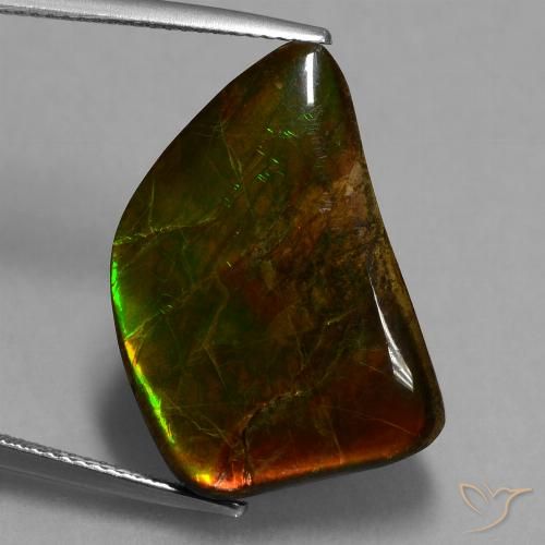 15.62ct Natural Multicolorido amolita, Chique, Opaco