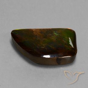amolita Multicolorido Natural 15.62ct, Chique, Opaco