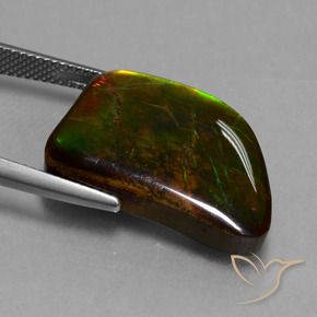 amolita Multicolorido Natural 15.62ct, Chique, Opaco