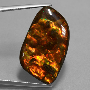Ammolita multicolorido natural 20,42ct, forma extravagante, opaco