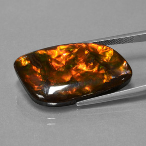 Ammolita multicolorido natural 20,42ct, forma extravagante, opaco