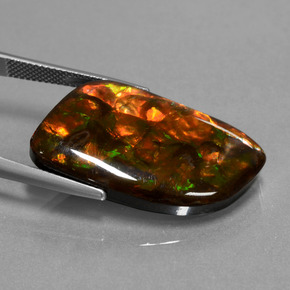 Ammolita multicolorido natural 20,42ct, forma extravagante, opaco