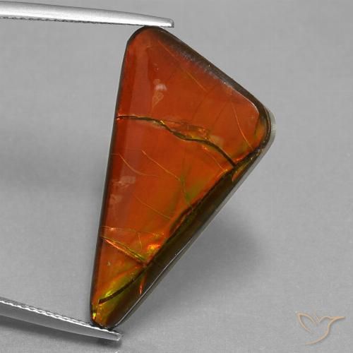 17.93ct Natural Multicolorido amolita, Trilhão, Opaco