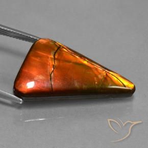 amolita Multicolorido Natural 17.93ct, Trilhão, Opaco