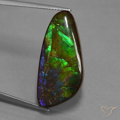16.76ct Natural Multicolorido amolita, Chique, Opaco