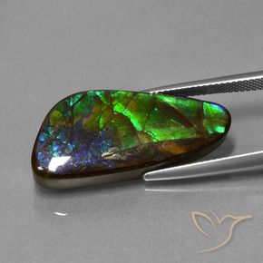 amolita Multicolorido Natural 16.76ct, Chique, Opaco