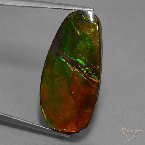 21.63ct Natural Multicolorido amolita, Chique, Opaco