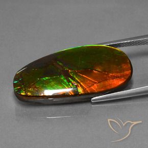 amolita Multicolorido Natural 21.63ct, Chique, Opaco