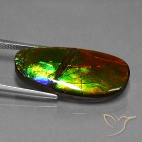 amolita Multicolorido Natural 21.63ct, Chique, Opaco