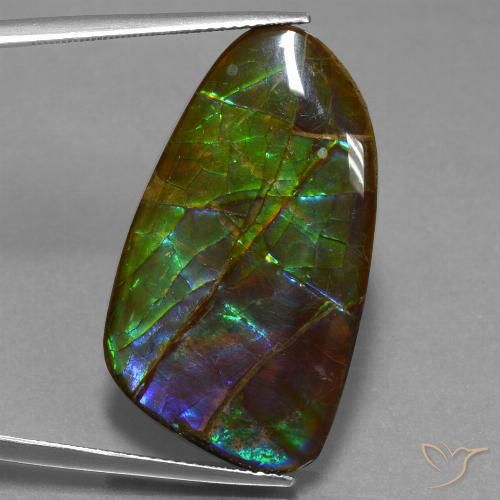 23.16ct Natural Multicolorido amolita, Chique, Opaco