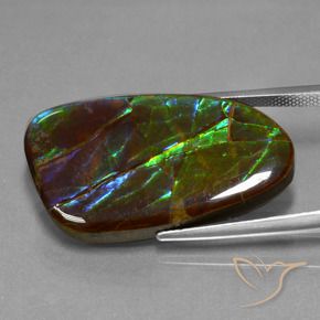 amolita Multicolorido Natural 23.16ct, Chique, Opaco