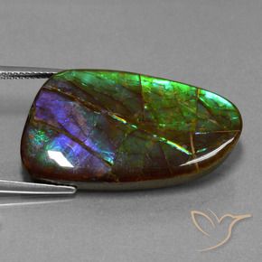 amolita Multicolorido Natural 23.16ct, Chique, Opaco