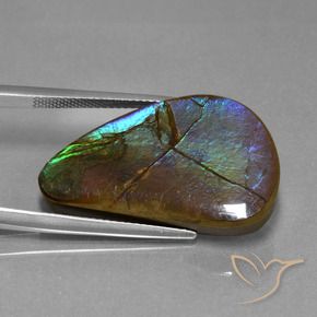 amolita Multicolorido Natural 20.44ct, Chique, Opaco