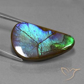 amolita Multicolorido Natural 20.44ct, Chique, Opaco