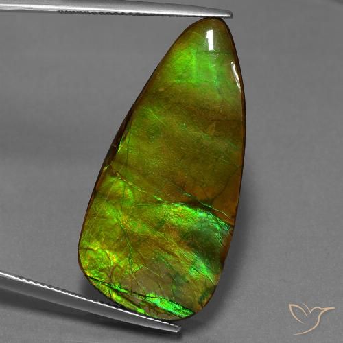 24.28ct Natural Multicolorido amolita, Chique, Opaco