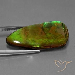 amolita Multicolorido Natural 24.28ct, Chique, Opaco