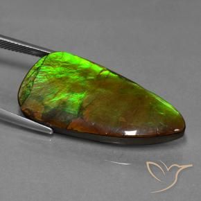 amolita Multicolorido Natural 24.28ct, Chique, Opaco