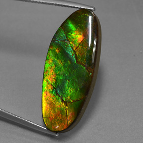 Ammolita multicolorido natural 17,75ct, forma extravagante, opaco