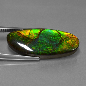 Ammolita multicolorido natural 17,75ct, forma extravagante, opaco