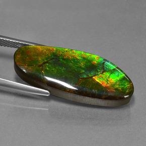 Ammolita multicolorido natural 17,75ct, forma extravagante, opaco