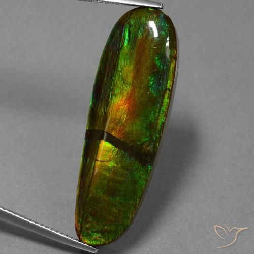 23.33ct Natural Multicolorido amolita, Chique, Opaco