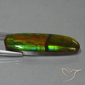 amolita Multicolorido Natural 23.33ct, Chique, Opaco