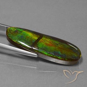 amolita Multicolorido Natural 23.33ct, Chique, Opaco