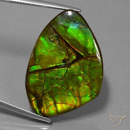24.51ct Natural Multicolorido amolita, Chique, Opaco