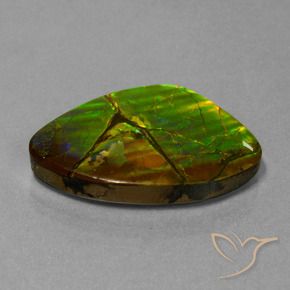 amolita Multicolorido Natural 24.51ct, Chique, Opaco