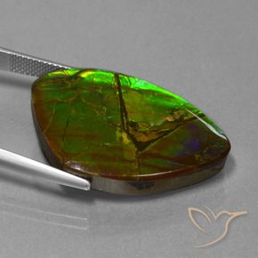 amolita Multicolorido Natural 24.51ct, Chique, Opaco