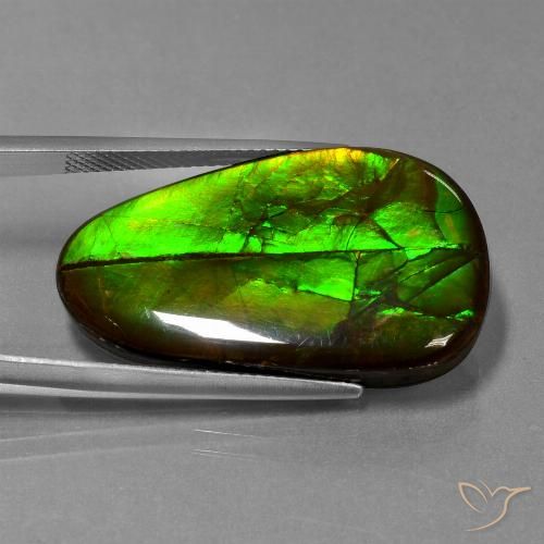 21.60ct Natural Multicolorido amolita, Chique, Opaco