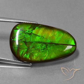 amolita Multicolorido Natural 21.60ct, Chique, Opaco