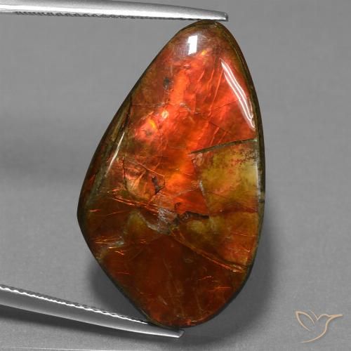 23.21ct Natural Multicolorido amolita, Chique, Opaco