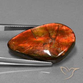 amolita Multicolorido Natural 23.21ct, Chique, Opaco