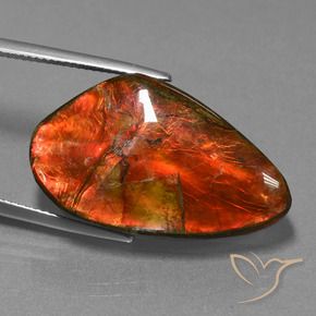 amolita Multicolorido Natural 23.21ct, Chique, Opaco