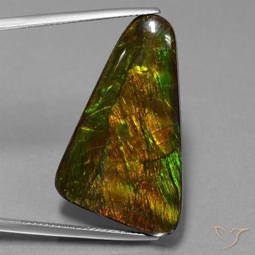 23.06ct Natural Multicolorido amolita, Chique, Opaco