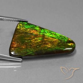 amolita Multicolorido Natural 23.06ct, Chique, Opaco