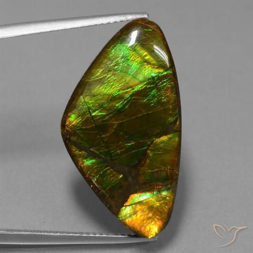 18.77ct Natural Multicolorido amolita, Chique, Opaco