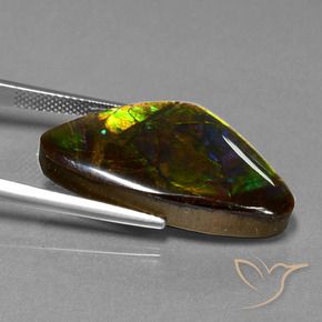 amolita Multicolorido Natural 18.77ct, Chique, Opaco