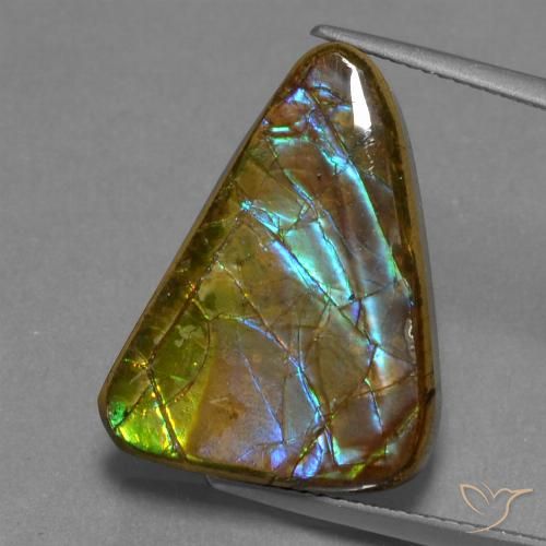 13.18ct Natural Multicolorido amolita, Trilhão, Opaco