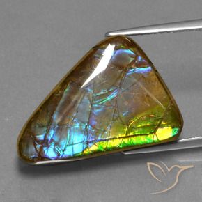 amolita Multicolorido Natural 13.18ct, Trilhão, Opaco