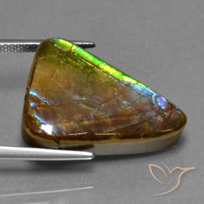amolita Multicolorido Natural 13.18ct, Trilhão, Opaco